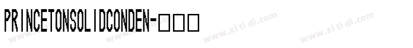 PrincetonSolidConden字体转换