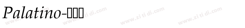 Palatino字体转换
