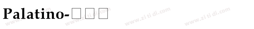 Palatino字体转换