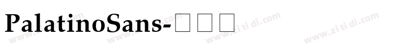 PalatinoSans字体转换