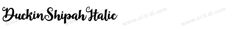 DuckinShipahItalic字体转换