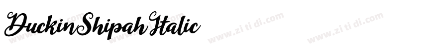 DuckinShipahItalic字体转换