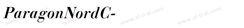 ParagonNordC字体转换