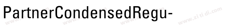 PartnerCondensedRegu字体转换