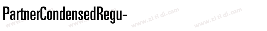 PartnerCondensedRegu字体转换