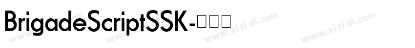 BrigadeScriptSSK字体转换