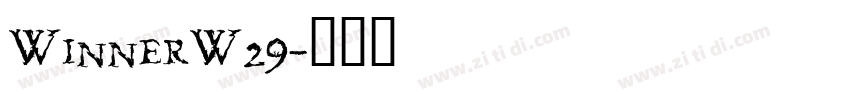 WinnerW29字体转换