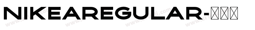 NIKEARegular字体转换