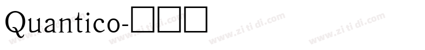 Quantico字体转换