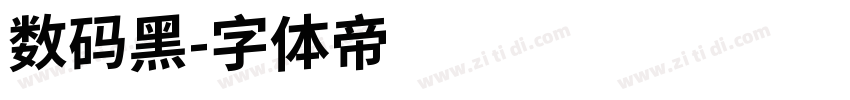数码黑字体转换
