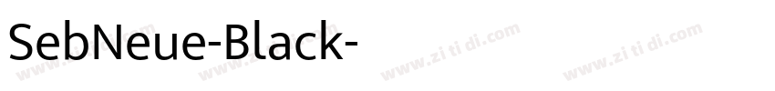 SebNeue-Black字体转换