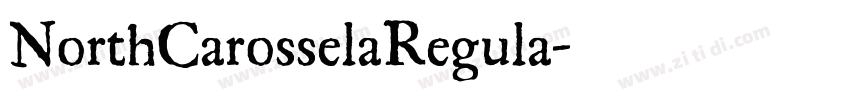 NorthCarosselaRegula字体转换