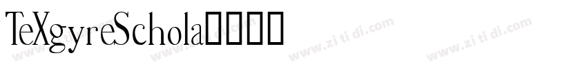 TeXgyreSchola字体转换
