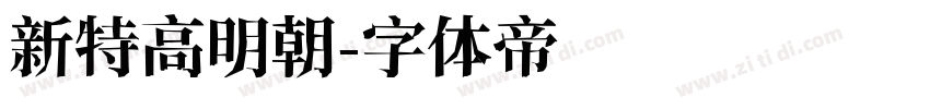 新特高明朝字体转换