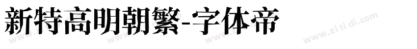 新特高明朝繁字体转换