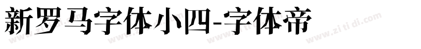 新罗马字体小四字体转换