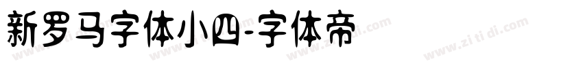 新罗马字体小四字体转换