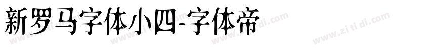 新罗马字体小四字体转换