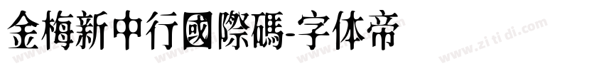 金梅新中行國際碼字体转换