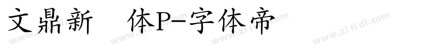 文鼎新艺体P字体转换