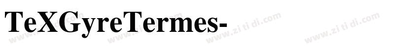 TeXGyreTermes字体转换