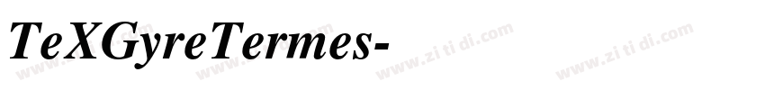 TeXGyreTermes字体转换