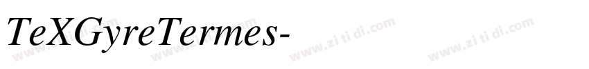 TeXGyreTermes字体转换