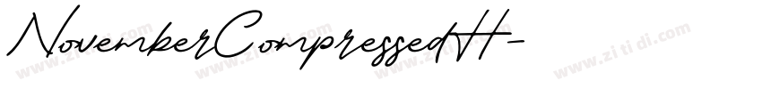 NovemberCompressedH字体转换