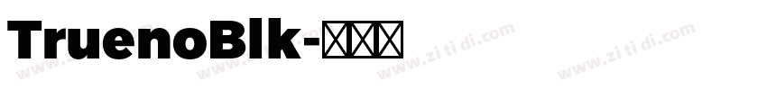 TruenoBlk字体转换