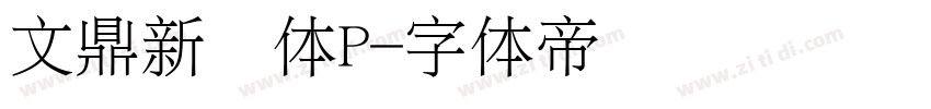 文鼎新艺体P字体转换