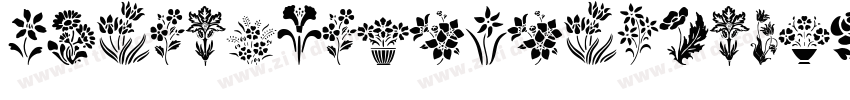 SpringTimePersonalUs字体转换