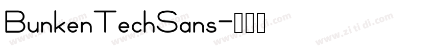 BunkenTechSans字体转换