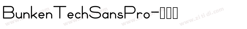 BunkenTechSansPro字体转换