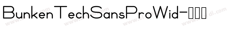 BunkenTechSansProWid字体转换
