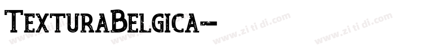 TexturaBelgica字体转换