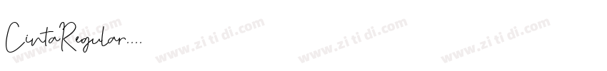 CintaRegular字体转换