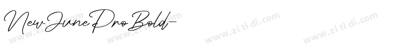NewJuneProBold字体转换