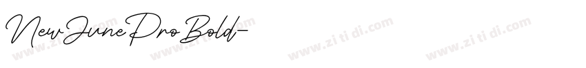 NewJuneProBold字体转换