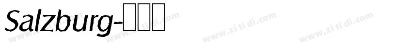 Salzburg字体转换