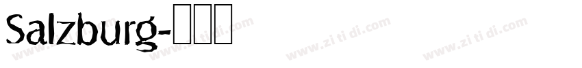 Salzburg字体转换