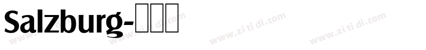 Salzburg字体转换