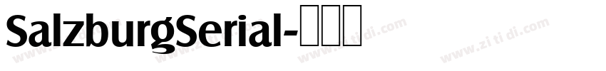SalzburgSerial字体转换