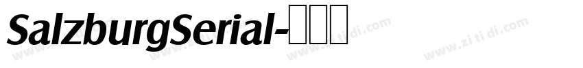 SalzburgSerial字体转换