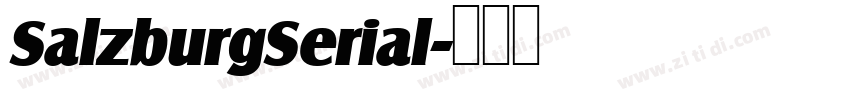 SalzburgSerial字体转换