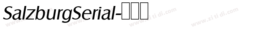 SalzburgSerial字体转换