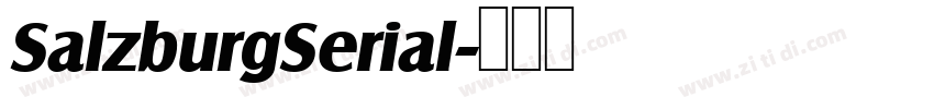SalzburgSerial字体转换