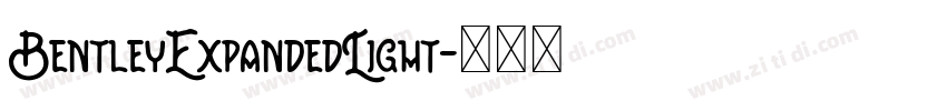 BentleyExpandedLight字体转换