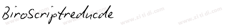 BiroScriptreducde字体转换