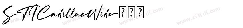 STICadillacWide字体转换