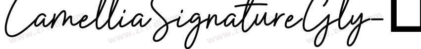 CamelliaSignatureGly字体转换